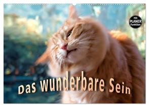 Das wunderbare Sein (Wandkalender 2024 DIN A2 quer), CALVENDO Monatskalender von Gross,  Viktor