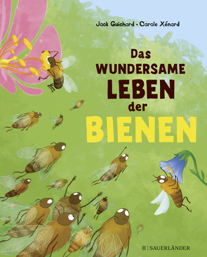 Das wundersame Leben der Bienen von Guichard,  Jack, Panzacchi,  Cornelia, Xénard,  Carole