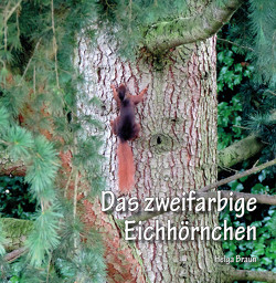 Das zweifarbige Eichhörnchen von Braun,  Helga