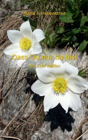 Dass Du nur da bist von Hebenstreit,  Maria J.