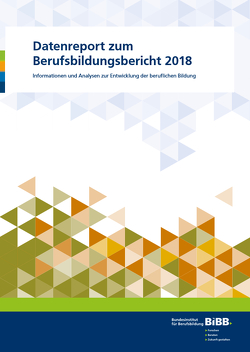 Datenreport zum Berufsbildungsbericht 2018 von Friedrich,  Michael