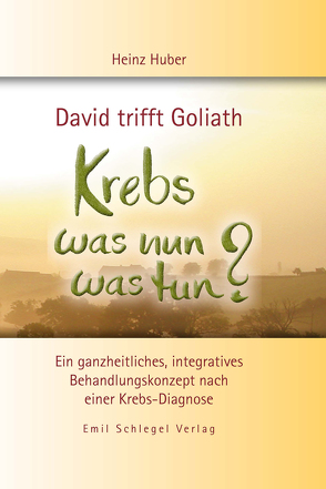 David trifft Goliath – Krebs was nun was tun? von Huber,  Heinz