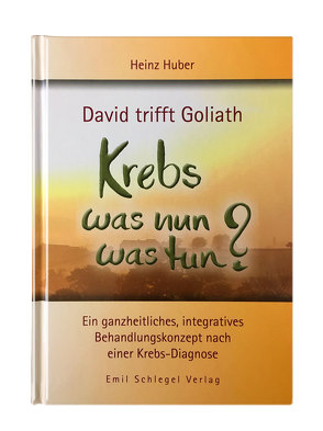 David trifft Goliath – Krebs was nun was tun? von Huber,  Heinz