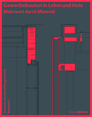 DBU Bauband 3: Gewerbebauten in Lehm und Holz von Djahanschah,  Sabine