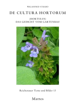 De cultura hortorum (Hortulus) von Berschin,  Walter, Erbar,  Claudia, Fels,  Wolfgang, Licht,  Tino, Strabo,  Walahfrid