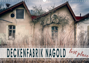 Deckenfabrik Nagold – lost place (Wandkalender 2021 DIN A3 quer) von Schöb,  Monika