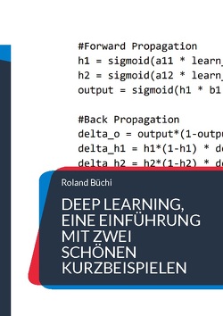 Deep Learning, eine Einführung mit zwei schönen Kurzbeispielen von Büchi,  Roland