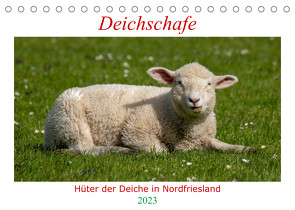 Deichschafe – Hüter der Deiche in Nordfriesland (Tischkalender 2023 DIN A5 quer) von Falke,  Manuela