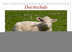 Deichschafe – Hüter der Deiche in Nordfriesland (Tischkalender 2024 DIN A5 quer), CALVENDO Monatskalender von Falke,  Manuela