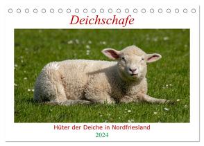 Deichschafe – Hüter der Deiche in Nordfriesland (Tischkalender 2024 DIN A5 quer), CALVENDO Monatskalender von Falke,  Manuela