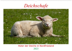 Deichschafe – Hüter der Deiche in Nordfriesland (Wandkalender 2023 DIN A2 quer) von Falke,  Manuela