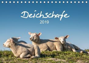 Deichschafe (Tischkalender 2019 DIN A5 quer) von Giesers,  Stephan