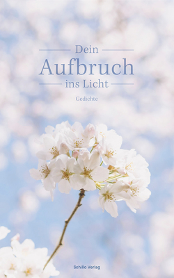 Dein Aufbruch ins Licht von Buchholz,  Hannah