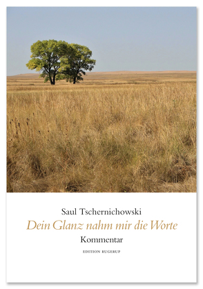 Dein Glanz nahm mir die Worte von Schiffer,  Gundula, Schulte,  Jörg, Tschernichowski,  Saul