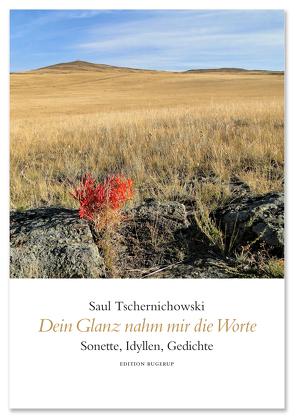 Dein Glanz nahm mir die Worte von Dykman,  Aminadav, Schulte,  Jörg, Tschernichowski,  Saul