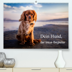 Dein Hund der treue Begleiter (Premium, hochwertiger DIN A2 Wandkalender 2023, Kunstdruck in Hochglanz) von Gayde,  Frank