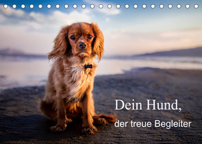 Dein Hund der treue Begleiter (Tischkalender 2023 DIN A5 quer) von Gayde,  Frank