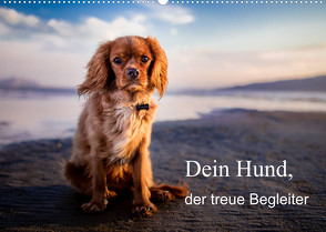 Dein Hund der treue Begleiter (Wandkalender 2023 DIN A2 quer) von Gayde,  Frank