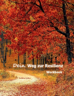 Dein Weg zur Resilienz von Lotter,  Bettina