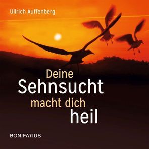 Deine Sehnsucht macht dich heil von Auffenberg,  Ullrich