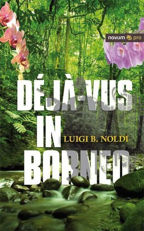 Déjà-vus in Borneo von Noldi,  Luigi B.