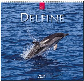 Delfine