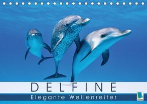 Delfine: Elegante Wellenreiter (Tischkalender 2018 DIN A5 quer) von CALVENDO