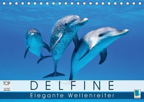 Delfine: Elegante Wellenreiter (Tischkalender 2019 DIN A5 quer) von CALVENDO