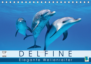 Delfine: Elegante Wellenreiter (Tischkalender 2020 DIN A5 quer) von CALVENDO