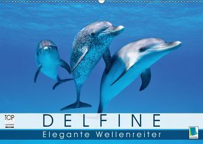 Delfine: Elegante Wellenreiter (Wandkalender 2019 DIN A2 quer) von CALVENDO