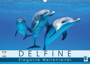 Delfine: Elegante Wellenreiter (Wandkalender 2019 DIN A3 quer) von CALVENDO