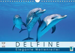 Delfine: Elegante Wellenreiter (Wandkalender 2019 DIN A4 quer) von CALVENDO