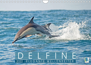 Delfine: Elegante Wellenreiter (Wandkalender 2022 DIN A4 quer) von CALVENDO