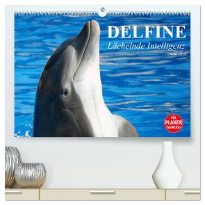 Delfine – Lächelnde Intelligenz (hochwertiger Premium Wandkalender 2024 DIN A2 quer), Kunstdruck in Hochglanz von Stanzer,  Elisabeth