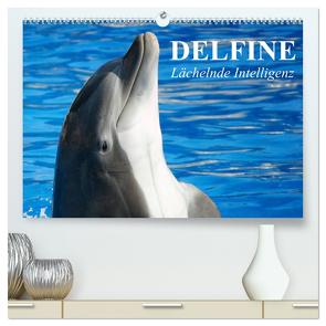 Delfine – Lächelnde Intelligenz (hochwertiger Premium Wandkalender 2024 DIN A2 quer), Kunstdruck in Hochglanz von Stanzer,  Elisabeth