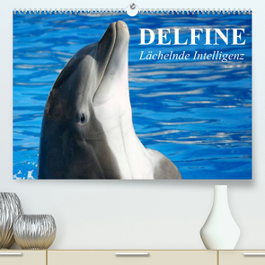 Delfine – Lächelnde Intelligenz (Premium, hochwertiger DIN A2 Wandkalender 2023, Kunstdruck in Hochglanz) von Stanzer,  Elisabeth