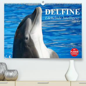 Delfine – Lächelnde Intelligenz (Premium, hochwertiger DIN A2 Wandkalender 2023, Kunstdruck in Hochglanz) von Stanzer,  Elisabeth