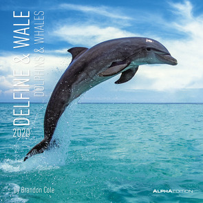 Delfine & Wale 2020 – Dolphins & Whales – Wandkalender – Broschürenkalender (30 x 60 geöffnet) – Tierkalender – Wandplaner von ALPHA EDITION, Cole,  Brandon