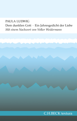 Dem dunklen Gott von Ludwig,  Paula, Weidermann,  Volker