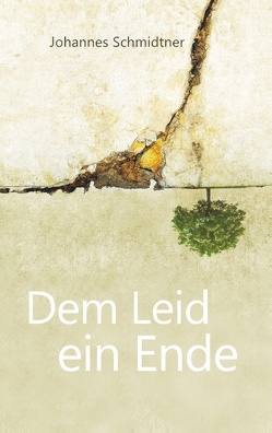 Dem Leid ein Ende von Schmidtner,  Johannes