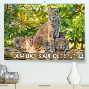 Dem Luchs auf der Spur (Premium, hochwertiger DIN A2 Wandkalender 2022, Kunstdruck in Hochglanz) von CALVENDO