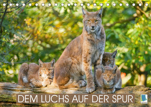 Dem Luchs auf der Spur (Tischkalender 2022 DIN A5 quer) von CALVENDO