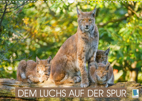 Dem Luchs auf der Spur (Wandkalender 2022 DIN A3 quer) von CALVENDO