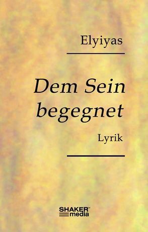 Dem Sein begegnet von Elyiyas