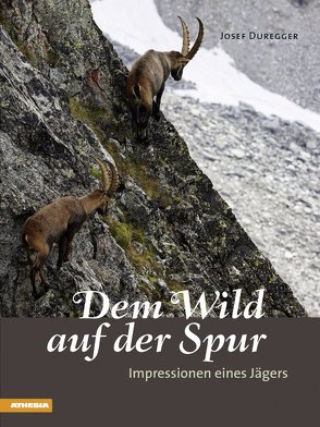 Dem Wild auf der Spur von Duregger,  Josef