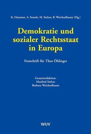 Demokratie und sozialer Rechtsstaat in Europa von Hammer,  Stefan, Somek,  Alexander, Stelzer,  Manfred, Weichselbaum,  Barbara