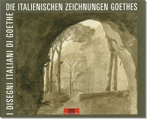 „den ganzen Tag gezeichnet“. Die italienischen Zeichnungen Goethes – „disegnato tutto il giorno“. I desegni italiani di Goethe von Bongaerts,  Ursula, Casadei,  Alessandro, Hansen,  Volkmar, Mildenberger,  Hermann, Neumann,  Bernd, Oppel,  Margarete, Popp,  Susanne