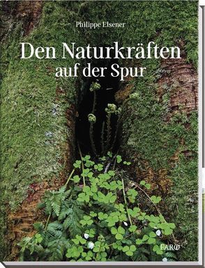 Den Naturkräften auf der Spur von Elsener,  Philippe