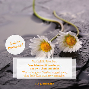 Den Schmerz überwinden, der zwischen uns steht von Dillo,  Michael, Krause,  Thomas, Rosenberg,  Marshall B., Vollmer,  Jule