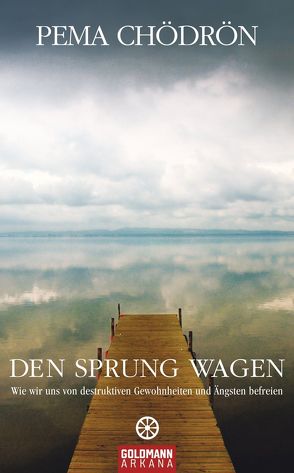 Den Sprung wagen von Chödrön,  Pema, Randow-Tesch,  Margarethe